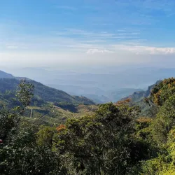 Horton Plains National Park - Nuwara Eliya