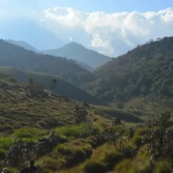 Horton Plains National Park - Nuwara Eliya