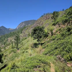 Horton Plains National Park - Nuwara Eliya