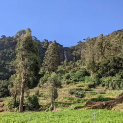 Lover's Leap Waterfall - Nuwara Eliya