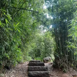 Lover's Leap Waterfall - Nuwara Eliya