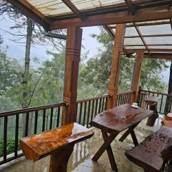 Pedro Tea Estate - Nuwara Eliya