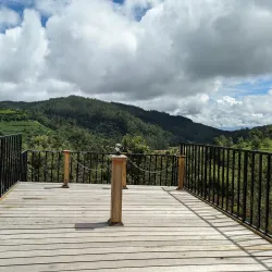 Pedro Tea Estate - Nuwara Eliya