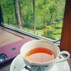 Pedro Tea Estate - Nuwara Eliya