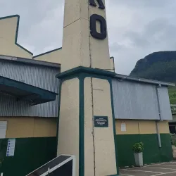 Pedro Tea Estate - Nuwara Eliya