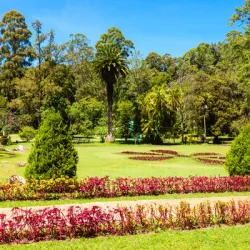 Victoria Park - Nuwara Eliya