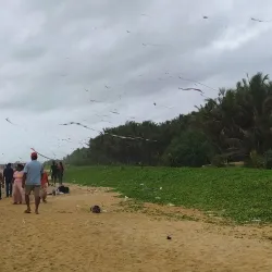 Panadura Beach - Panadura