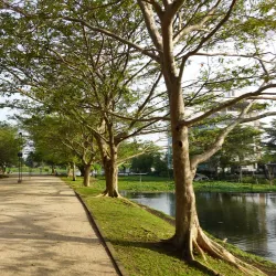 Kahathuduwa Wetlands - Piliyandala