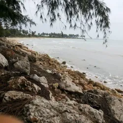 Casuarina Beach - Point Pedro