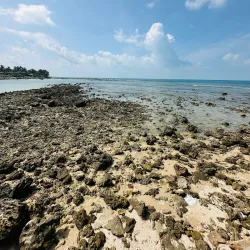 Fishing Villages around Point Pedro - Point Pedro