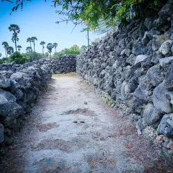 Neduntheevu (Delft Island) - Point Pedro
