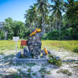 Neduntheevu (Delft Island) - Point Pedro