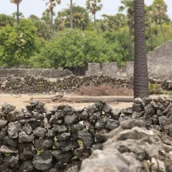 Neduntheevu (Delft Island) - Point Pedro