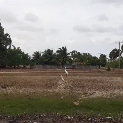 Point Pedro Beach - Point Pedro