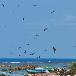 Point Pedro Lighthouse - Point Pedro