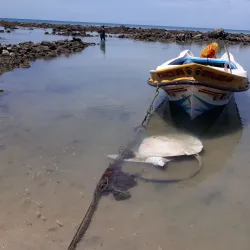 Point Pedro Lighthouse - Point Pedro