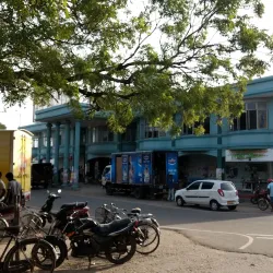 Point Pedro Market - Point Pedro