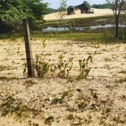 St. Anthony's Church, Point Pedro - Point Pedro