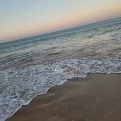 Thirunelvely Beach - Point Pedro