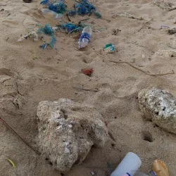 Thirunelvely Beach - Point Pedro