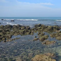 Thirunelvely Beach - Point Pedro