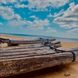 Thirunelvely Beach - Point Pedro