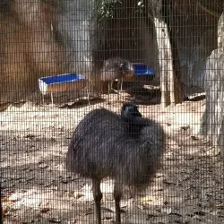 Kelaniya Park - Ragama