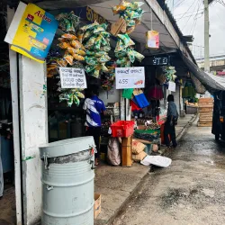 Local Markets of Ragama - Ragama
