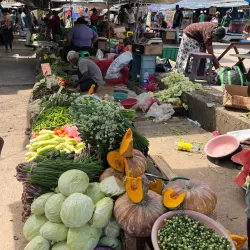 Local Markets of Ragama - Ragama