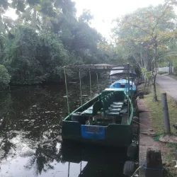 Muthurajawela Marsh - Ragama