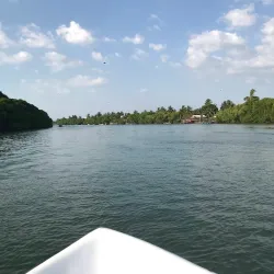 Negombo Lagoon - Ragama