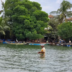 Negombo Lagoon - Ragama