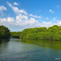 Negombo Lagoon - Ragama