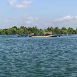 Negombo Lagoon - Ragama