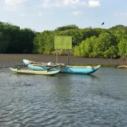 Negombo Lagoon - Ragama