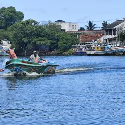 Negombo Lagoon - Ragama