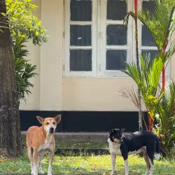 St. Joseph's Church, Ragama - Ragama