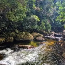 Belihuloya - Ratnapura