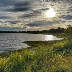 Habarana Lake - Sigiriya