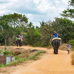 Habarana Lake - Sigiriya