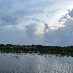 Habarana Lake - Sigiriya