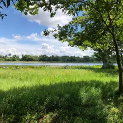 Habarana Lake - Sigiriya