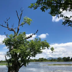 Habarana Lake - Sigiriya
