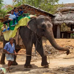 Habarana Lake - Sigiriya