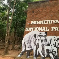 Minneriya National Park - Sigiriya