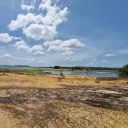 Minneriya National Park - Sigiriya