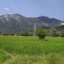 Ritigala Forest Monastery - Sigiriya