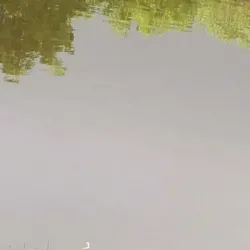 Diyawanna Lake - Sri Jayawardenepura Kotte