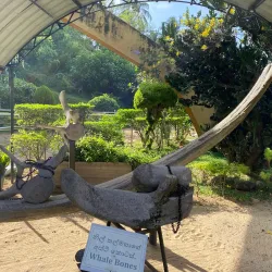 Hummanaya Blowhole - Tangalle