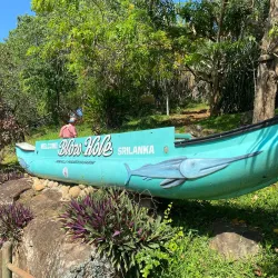 Hummanaya Blowhole - Tangalle